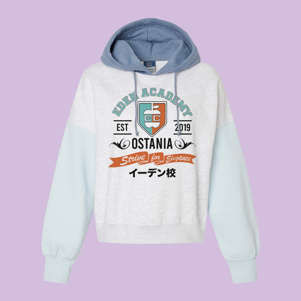 Eden Academy Colorblock Hoodie