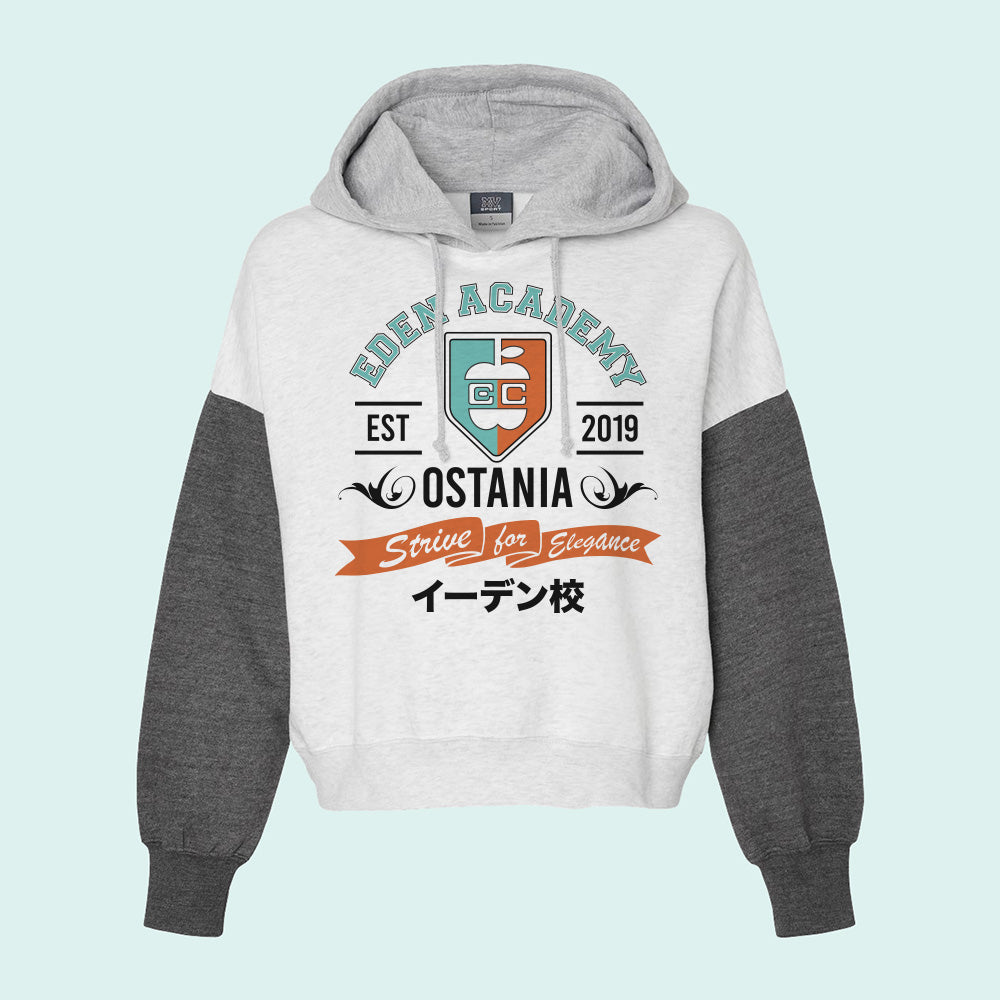 Eden Academy Colorblock Hoodie