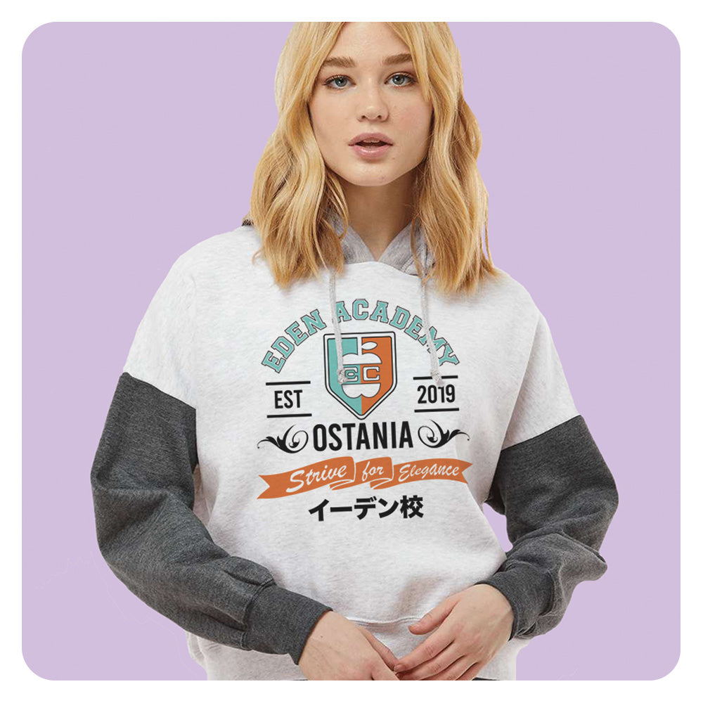 Eden Academy Colorblock Hoodie