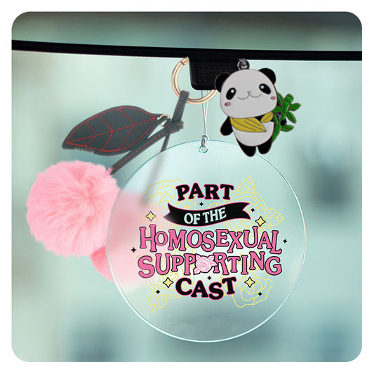 Part of the Homosexual Supporting Cast Rearview Mirror Hang